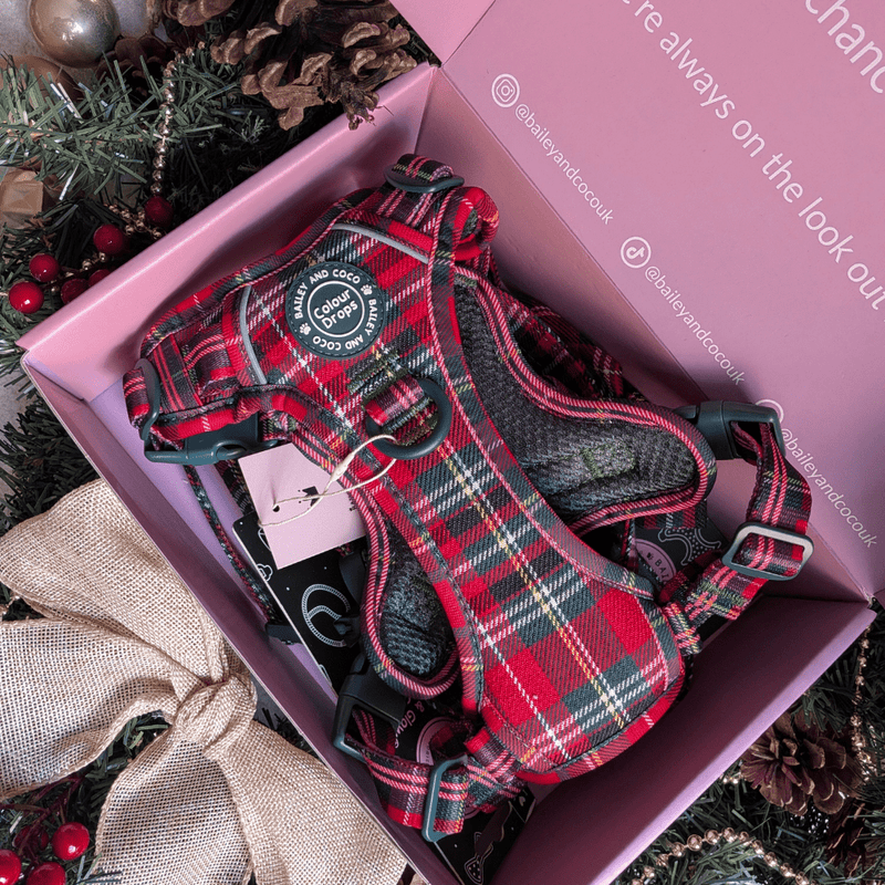 Trail & Glow - Dog Harness Bundle Set - Colour Drops - Red Highland Tartan - Bailey and Coco (UK)