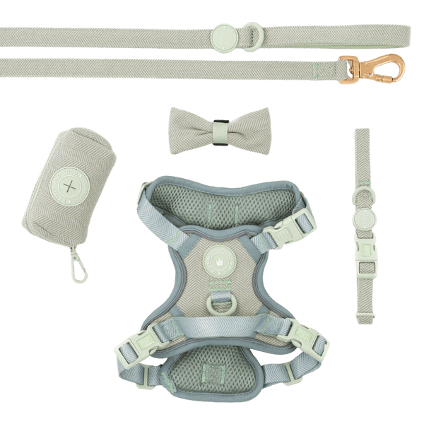 Trail & Glow - Dog Harness Bundle Set - Colour Drops - Sage Tweed - Bailey and Coco (UK)
