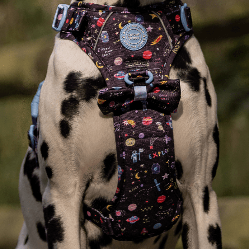 Trail & Glow® Dog Harness Bundle Set - COLOUR DROPS® - Space Paws - Bailey and Coco (UK)