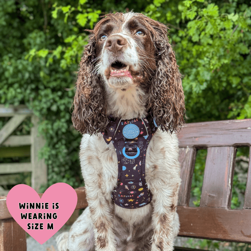 Trail & Glow® Dog Harness Bundle Set - COLOUR DROPS® - Space Paws - Bailey and Coco (UK)