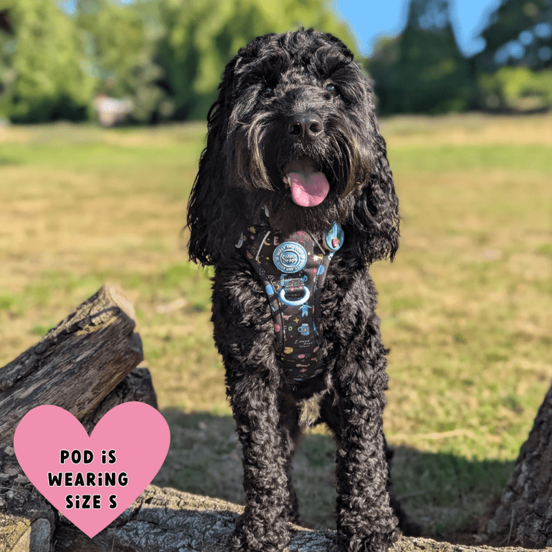Trail & Glow® Dog Harness Bundle Set - COLOUR DROPS® - Space Paws - Bailey and Coco (UK)