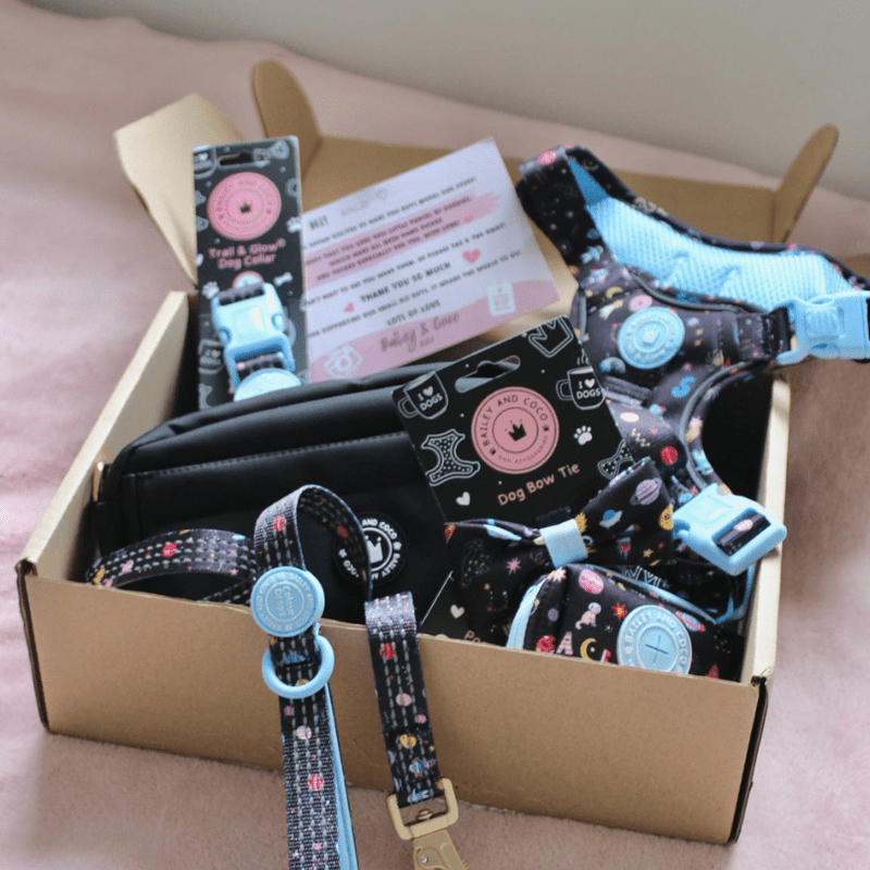 Trail & Glow® Dog Harness Bundle Set - COLOUR DROPS® - Space Paws - Bailey and Coco (UK)
