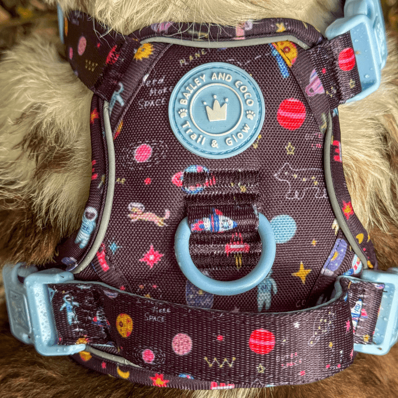 Trail & Glow® Dog Harness Bundle Set - COLOUR DROPS® - Space Paws - Bailey and Coco (UK)