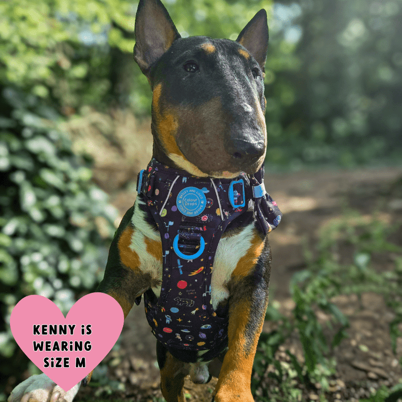 Trail & Glow® Dog Harness Bundle Set - COLOUR DROPS® - Space Paws - Bailey and Coco (UK)