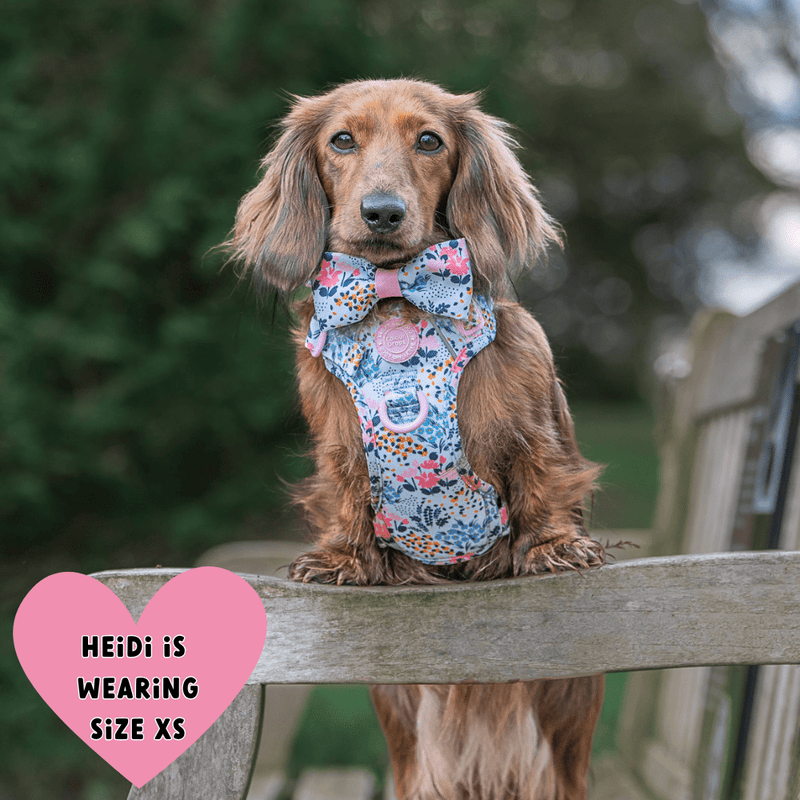 Trail & Glow Dog Harness Bundle Set - Colour Drops - Spring Dreams - Bailey and Coco (UK)