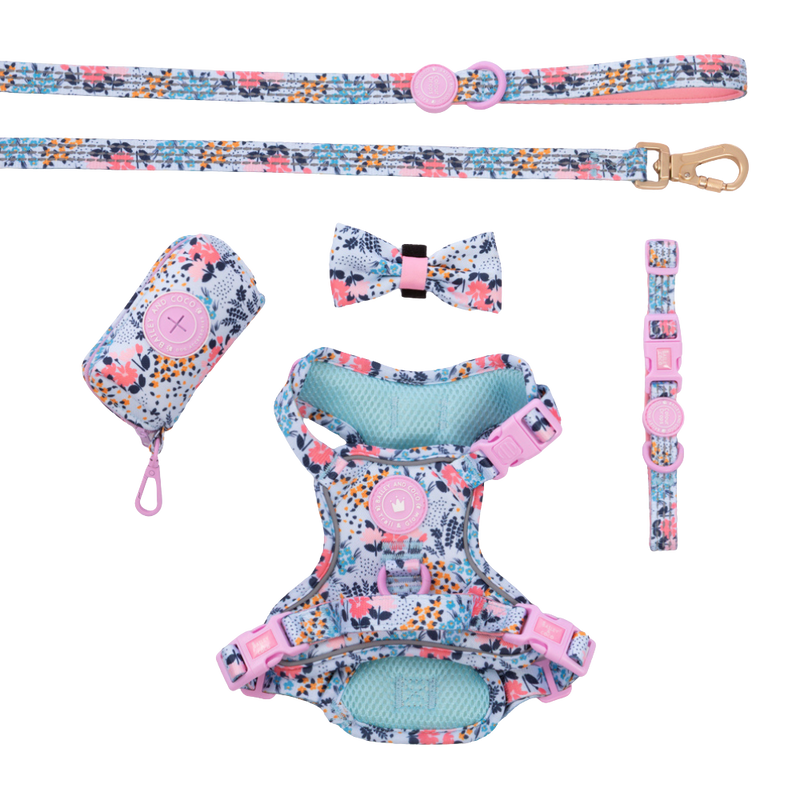 Trail & Glow Dog Harness Bundle Set - Colour Drops - Spring Dreams - Bailey and Coco (UK)