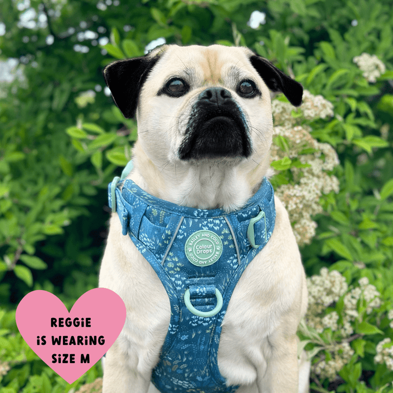 Trail & Glow® Dog Harness Bundle Set - COLOUR DROPS® - Touch Grass - Bailey and Coco (UK)