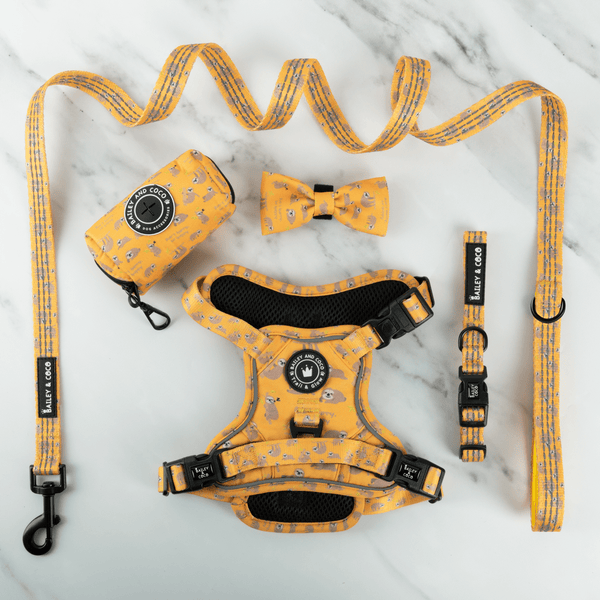 Trail & Glow® Dog Harness Bundle Set - Don't Hurry, Be Happy - Bailey and Coco (UK)