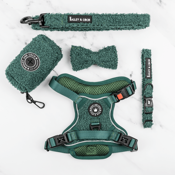 Trail & Glow® Dog Harness Bundle Set - Emerald Teddy - Bailey and Coco (UK)