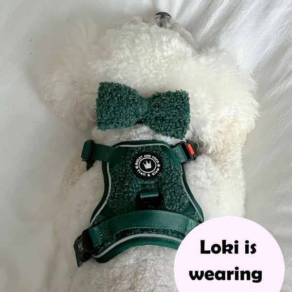 Trail & Glow® Dog Harness Bundle Set - Emerald Teddy - alternate view