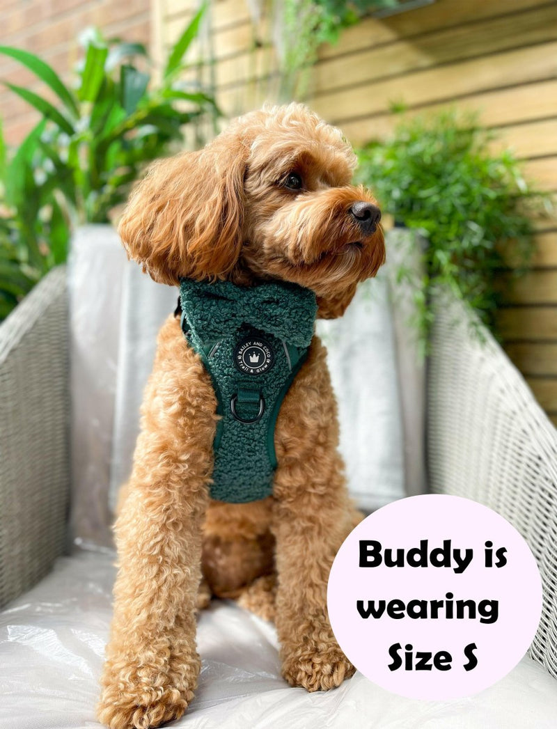 Trail & Glow® Dog Harness Bundle Set - Emerald Teddy - Bailey and Coco (UK)