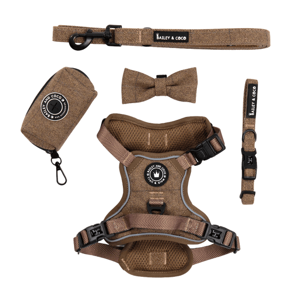 Trail & Glow® Dog Harness Bundle Set - Oxford Tweed - Bailey and Coco (UK)