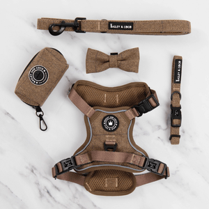 Trail & Glow® Dog Harness Bundle Set - Oxford Tweed - Bailey and Coco (UK)