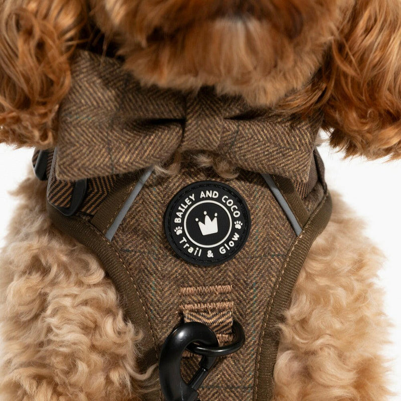 Trail & Glow® Dog Harness Bundle Set - Oxford Tweed - Bailey and Coco (UK)