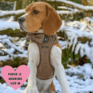 Trail & Glow® Dog Harness Bundle Set - Oxford Tweed - Bailey and Coco (UK)