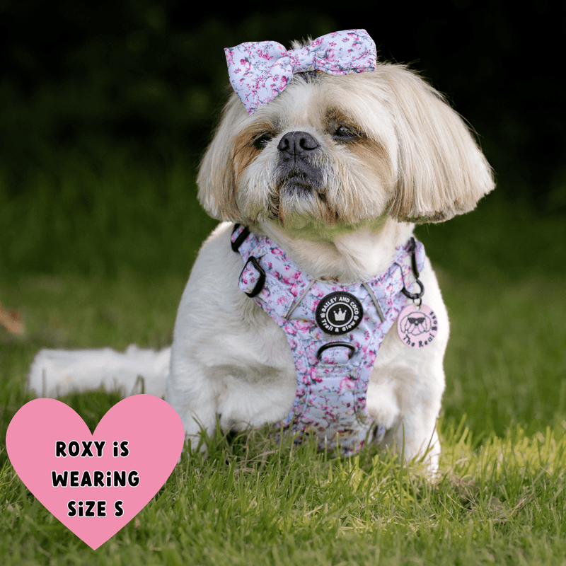 Trail & Glow® Dog Harness Bundle Set - Peony Blossom - Bailey and Coco (UK)
