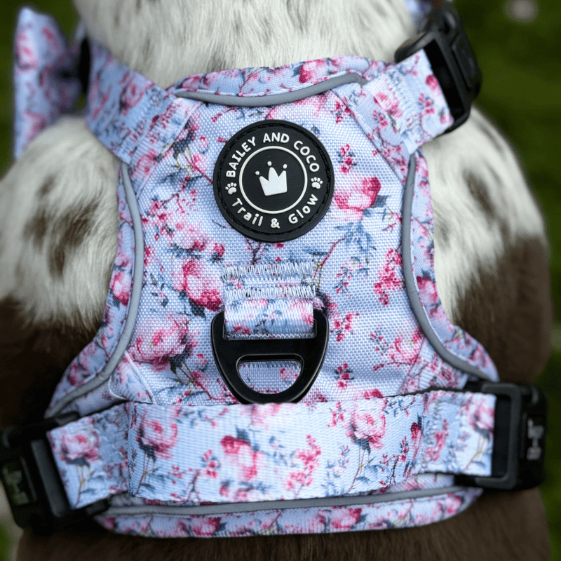 Trail & Glow® Dog Harness Bundle Set - Peony Blossom - Bailey and Coco (UK)