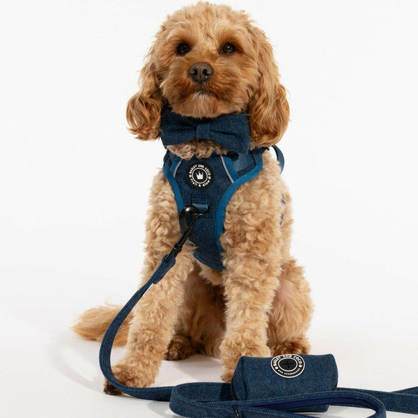 Trail & Glow® Dog Harness Bundle Set - Sapphire Tweed - alternate view
