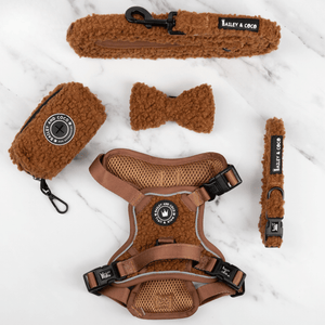 Trail & Glow® Dog Harness Bundle Set - Teddy Bear - Bailey and Coco (UK)
