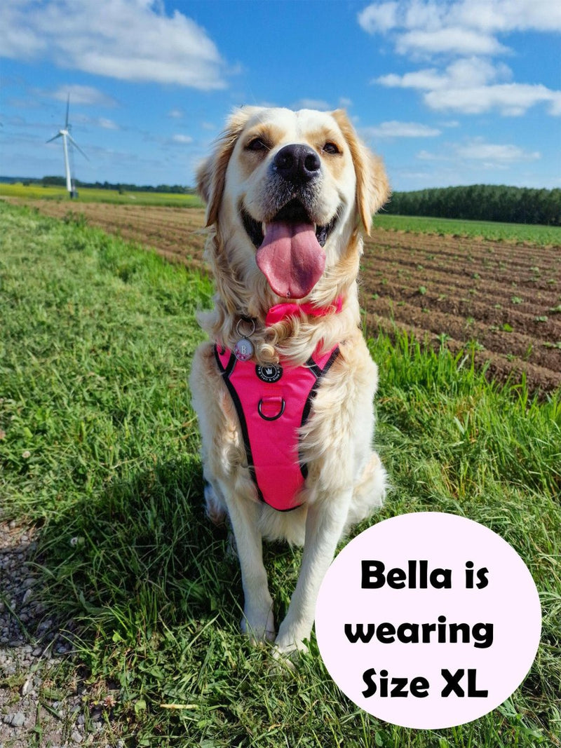 Trail & Glow® Dog Harness Bundle Set - The Hot Pink One - Bailey and Coco (UK)