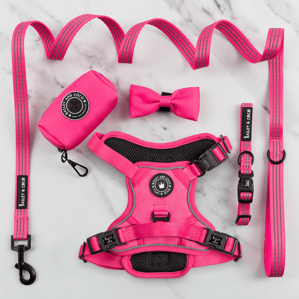 Trail & Glow® Dog Harness Bundle Set - The Hot Pink One - Bailey and Coco (UK)
