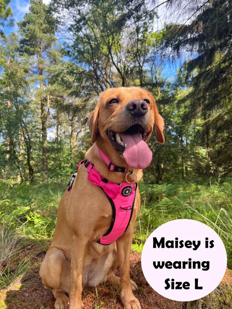 Trail & Glow® Dog Harness Bundle Set - The Hot Pink One - Bailey and Coco (UK)