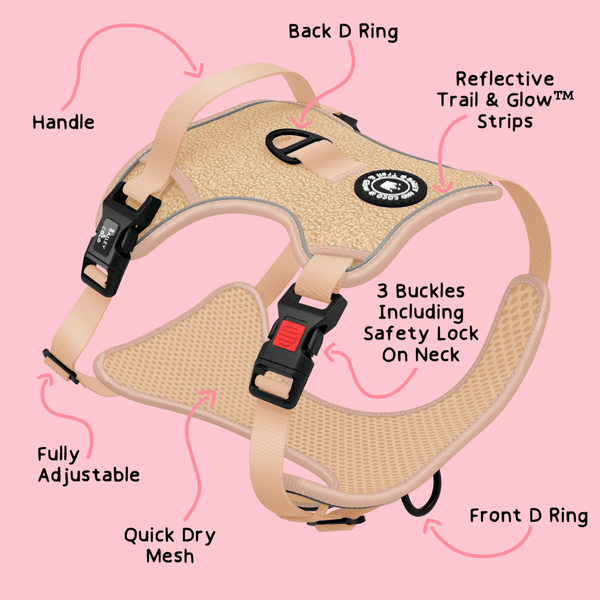 Trail & Glow® Dog Harness Bundle Set - Vanilla Teddy - alternate view