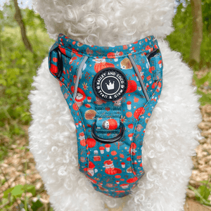 Trail & Glow® Dog Harness Bundle Set - Woodland Magic - Bailey and Coco (UK)
