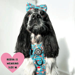 Trail & Glow® Dog Harness Bundle Set - Woodland Magic - Bailey and Coco (UK)