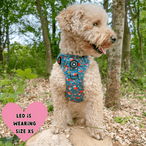 Trail & Glow® Dog Harness Bundle Set - Woodland Magic - Bailey and Coco (UK)