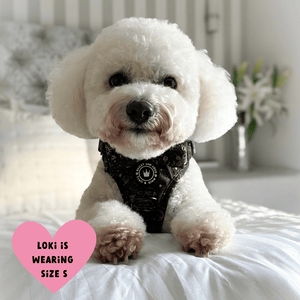 Trail & Glow® Dog Harness - Celestial - Bailey and Coco (UK)