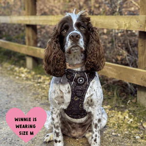 Trail & Glow® Dog Harness - Celestial - Bailey and Coco (UK)
