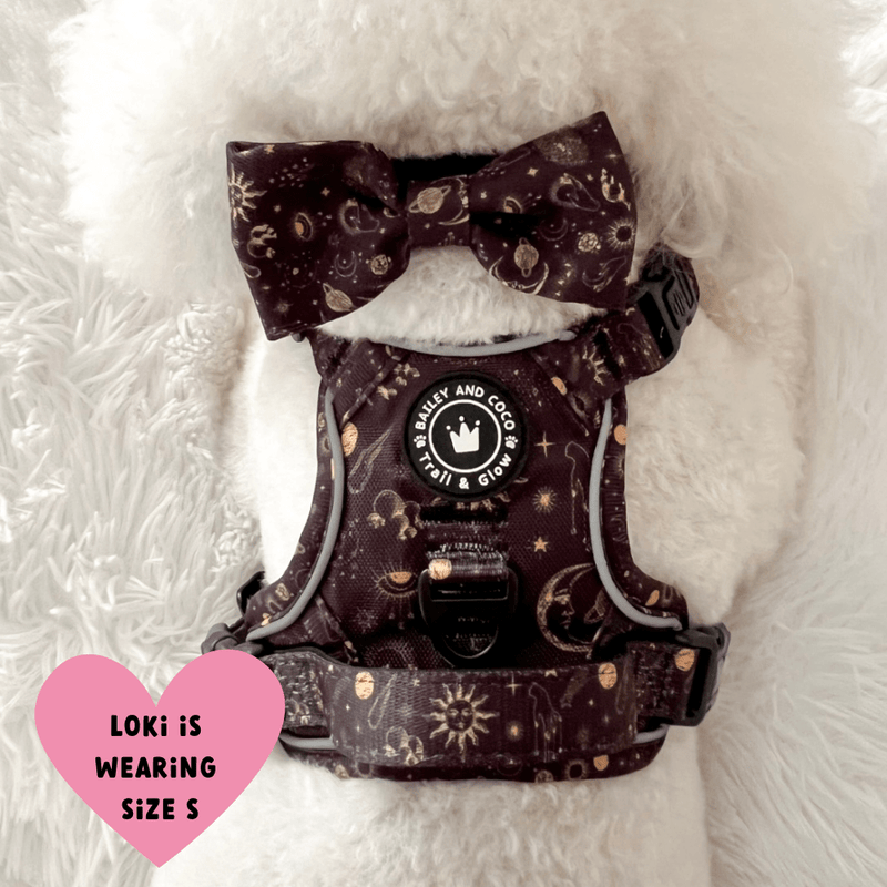 Trail & Glow® Dog Harness - Celestial - Bailey and Coco (UK)