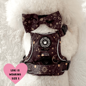 Trail & Glow® Dog Harness - Celestial - Bailey and Coco (UK)