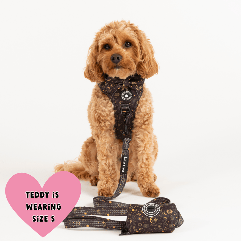 Trail & Glow® Dog Harness - Celestial - Bailey and Coco (UK)