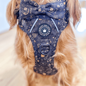 Trail & Glow® Dog Harness - Celestial - Bailey and Coco (UK)