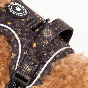 Trail & Glow® Dog Harness - Celestial - Bailey and Coco (UK)