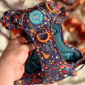 Trail & Glow Dog Harness - COLOUR DROPS® - Bewitched - Bailey and Coco (UK)