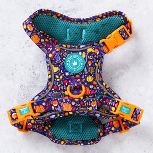 Trail & Glow Dog Harness - COLOUR DROPS® - Bewitched - Bailey and Coco (UK)