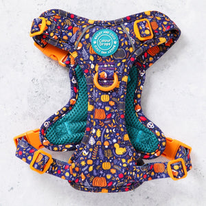 Trail & Glow Dog Harness - COLOUR DROPS® - Bewitched - Bailey and Coco (UK)