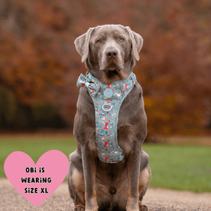 Trail & Glow Dog Harness - Colour Drops - Dino Party - Bailey and Coco (UK)