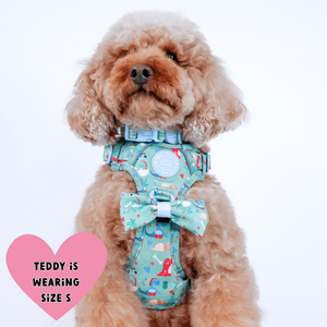 Trail & Glow Dog Harness - Colour Drops - Dino Party - Bailey and Coco (UK)