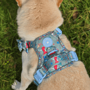 Trail & Glow Dog Harness - Colour Drops - Dino Party - Bailey and Coco (UK)