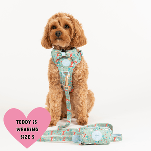 Trail & Glow Dog Harness - Colour Drops - Dino Party - Bailey and Coco (UK)
