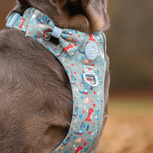 Trail & Glow Dog Harness - Colour Drops - Dino Party - Bailey and Coco (UK)