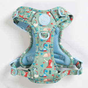 Trail & Glow Dog Harness - Colour Drops - Dino Party - Bailey and Coco (UK)