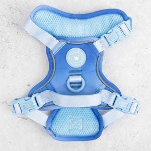 Trail & Glow Dog Harness - COLOUR DROPS® - Head in the Clouds - Bailey and Coco (UK)