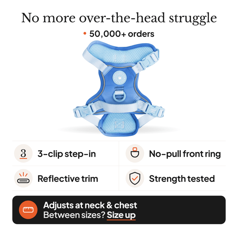 Trail & Glow Dog Harness - COLOUR DROPS® - Head in the Clouds - Bailey and Coco (UK)