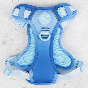 Trail & Glow Dog Harness - COLOUR DROPS® - Head in the Clouds - Bailey and Coco (UK)