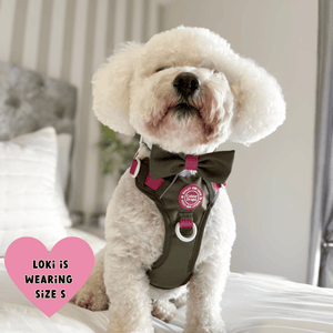Trail & Glow Dog Harness - COLOUR DROPS® - Hot Khaki - Bailey and Coco (UK)